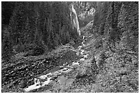 Comet Falls and Van Trump Creek. Mount Rainier National Park ( black and white)