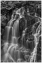 Water cascading over columns of volcanic rock. Mount Rainier National Park, Washington, USA. (black and white)