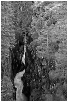 Deep narrow box canyon with vertical walls. Mount Rainier National Park, Washington, USA. (black and white)
