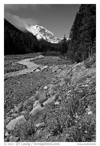 White River creek and Mt Rainier. Mount Rainier National Park (black and white)