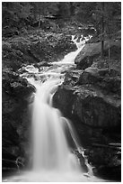 Silver Falls. Mount Rainier National Park ( black and white)