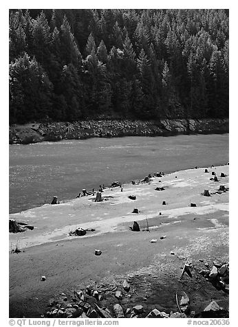 Tree stumps and river, North Cascades National Park Service Complex.  (black and white)