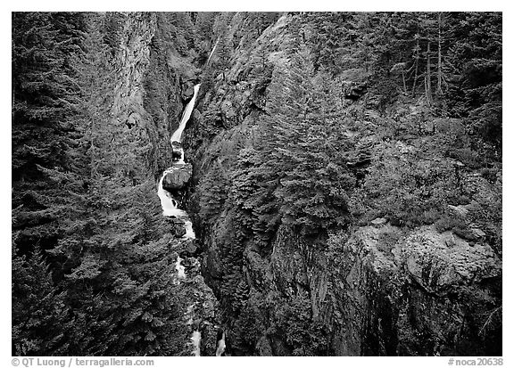 Gorge Creek falls in summer, North Cascades National Park Service Complex.  (black and white)