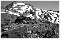 Marmots and Sahale Peak, morning, North Cascades National Park. Washington, USA. (black and white)