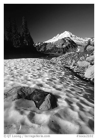 Neve and Mount Baker in the distance. Washington (black and white)