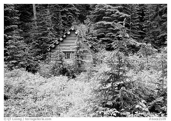 Log cabin, Glacier Peak Wilderness. Washington (black and white)