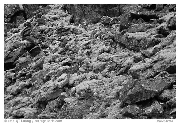 Mossy rocks, North Fork of the Cascade River, North Cascades National Park.  (black and white)