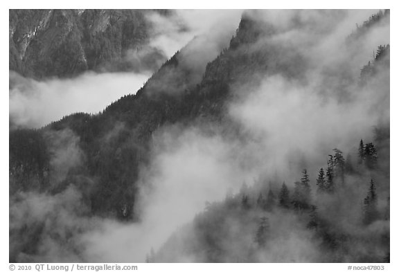 Ridges, trees, and fog, North Cascades National Park.  (black and white)