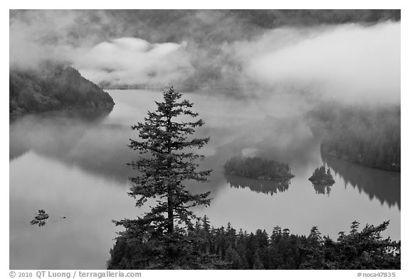 Fog hanging above Diablo Lake, North Cascades National Park Service Complex.  (black and white)