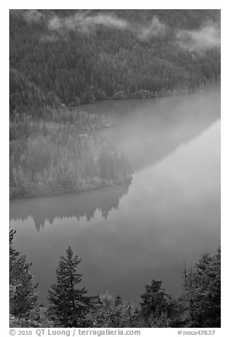 Turquoise waters and fog, Diablo Lake, North Cascades National Park Service Complex.  (black and white)