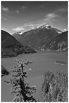 Colonial Peak and Pyramid Peak above Diablo Lake, summer morning,  North Cascades National Park Service Complex.  ( black and white)