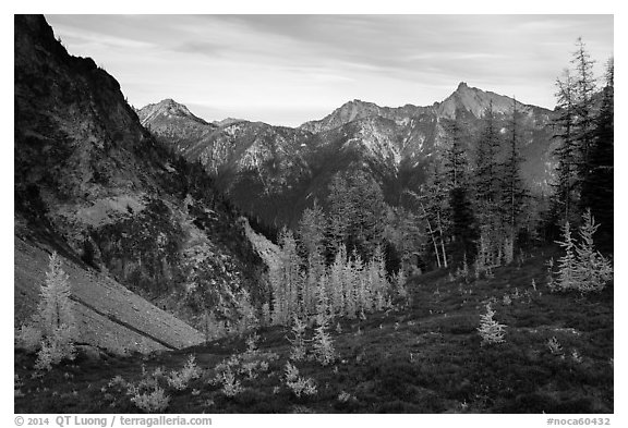 Visitor looking, Easy Pass, North Cascades National Park.  (black and white)