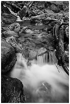 Cascading creek, North Cascades National Park Service Complex.  ( black and white)