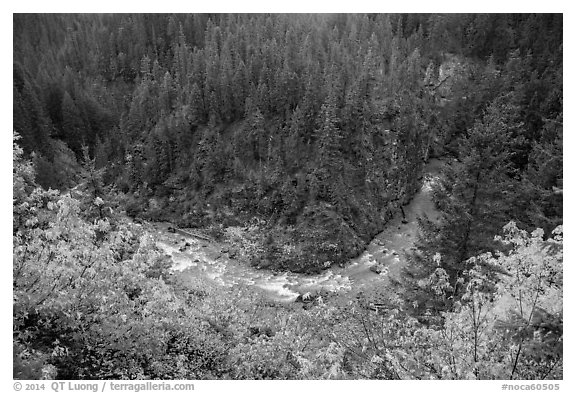 Bend of Agnes Creek from above in autumn, Glacier Peak Wilderness.  (black and white)