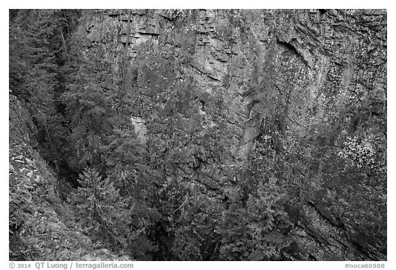 Sheer Skagit Gneiss walls of Agnes Gorge, Glacier Peak Wilderness.  (black and white)