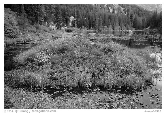 Coon Lake in the fall, North Cascades National Park Service Complex.  (black and white)