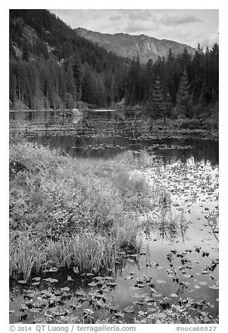 Mountains reflected in Coon Lake in autumn, North Cascades National Park Service Complex.  (black and white)