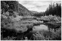 Mountains reflected in Coon Lake in the fall, North Cascades National Park Service Complex.  ( black and white)