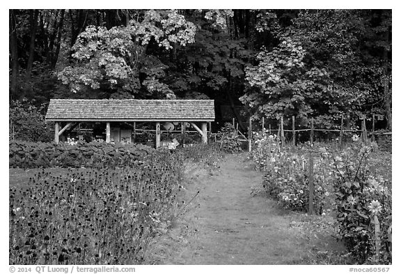 The garden, Stehekin, North Cascades National Park Service Complex.  (black and white)