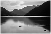 Lake Chelan reflections, Stehekin, North Cascades National Park Service Complex.  ( black and white)