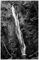 Mossy waterfall , Elwha valley. Olympic National Park, Washington, USA. (black and white)
