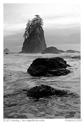 Rocks, seastacks and surf, Second Beach. Olympic National Park, Washington, USA.