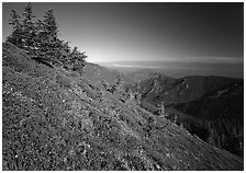 Looking towards  Strait of San Juan de Fuca from Hurricane hill. Olympic National Park, Washington, USA. (black and white)