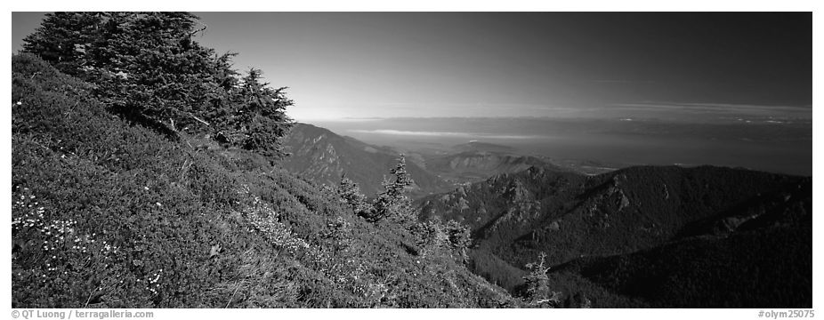 View over straight from mountains. Olympic National Park (black and white)