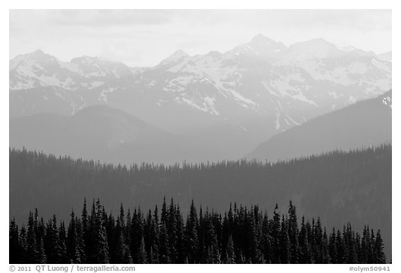 Hazy view of ridges and Olympic mountains. Olympic National Park, Washington, USA.