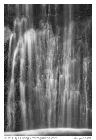 Multiple water channels, bottom of Marymere Fall. Olympic National Park (black and white)