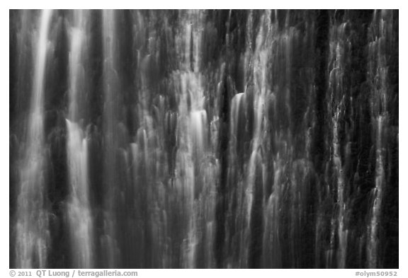Water curtain, Marymere Fall. Olympic National Park (black and white)