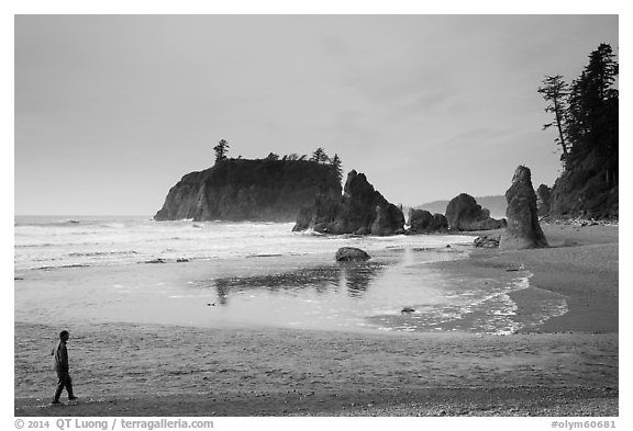 Visitor looking, Ruby Beach. Olympic National Park (black and white)