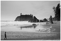 Visitor looking, Ruby Beach. Olympic National Park ( black and white)