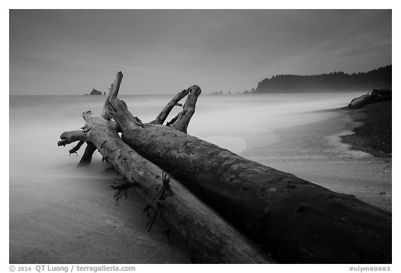 Driftwood and wave motion at dusk, Rialto Beach. Olympic National Park (black and white)