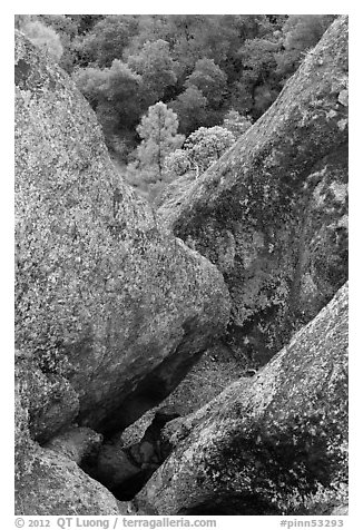 Rock finns below Condor Gulch overlook. Pinnacles National Park (black and white)