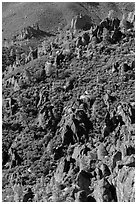 Slope with mediterranean chaparral and rock towers. Pinnacles National Park, California, USA. (black and white)