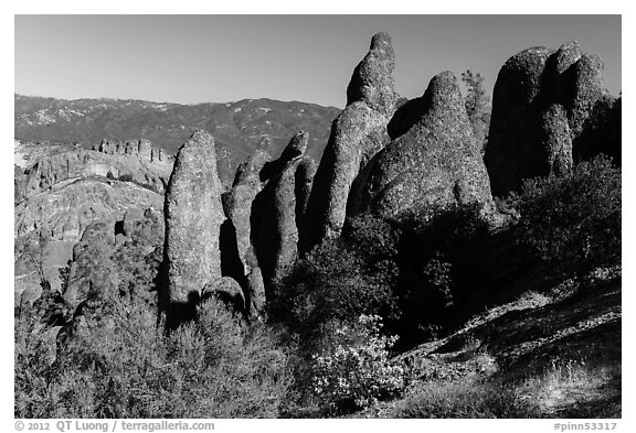 Rhyolite spires. Pinnacles National Park (black and white)