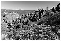 Chaparral and spires. Pinnacles National Park, California, USA. (black and white)