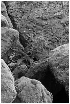 Mossy boulders, Bear Gulch. Pinnacles National Park, California, USA. (black and white)
