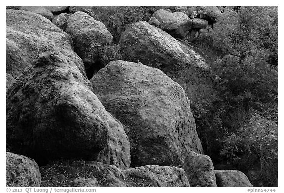 Boulders and trees in Bear Gulch. Pinnacles National Park (black and white)