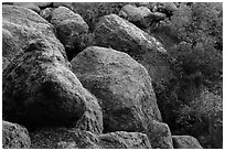 Boulders and trees in Bear Gulch. Pinnacles National Park, California, USA. (black and white)