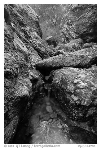 Chalone Creek flowing amongst boulders. Pinnacles National Park (black and white)