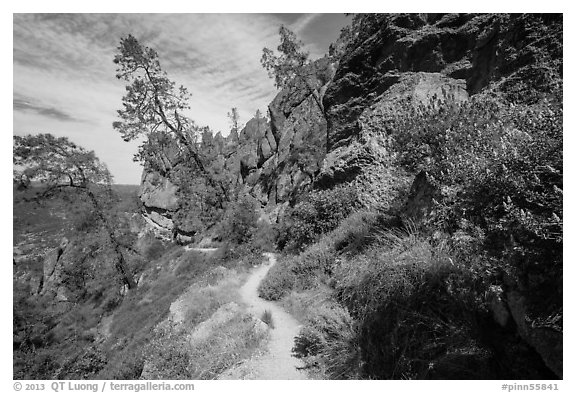 Juniper Canyon trail in spring. Pinnacles National Park (black and white)