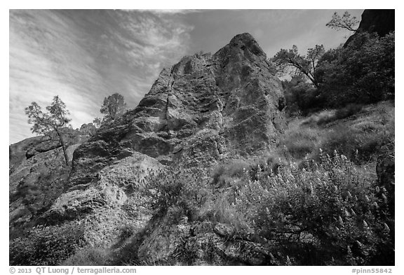 Lupine and rock towers in Juniper Canyon. Pinnacles National Park (black and white)