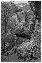 Andesite outcrops. Pinnacles National Park, California, USA. (black and white)