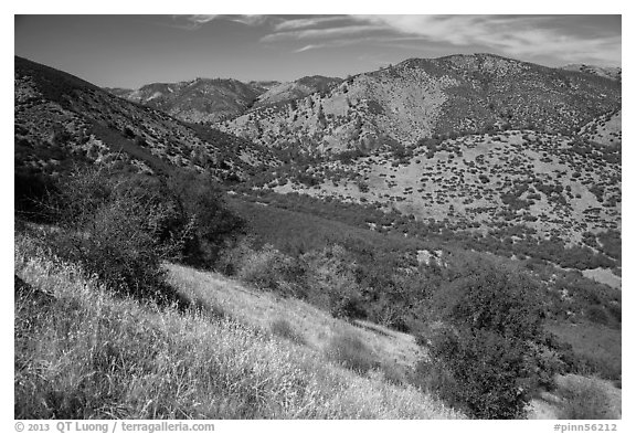 Valley, South Wilderness. Pinnacles National Park (black and white)