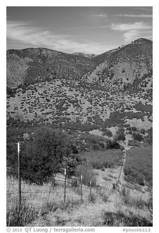 Looking down boundary fence. Pinnacles National Park (black and white)