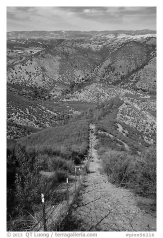 Looking down pig exclusion fence. Pinnacles National Park (black and white)