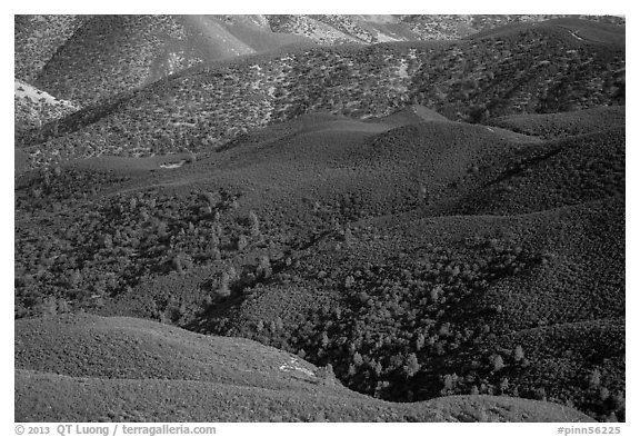Forested hills seen from above. Pinnacles National Park (black and white)