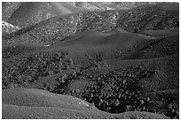 Forested hills seen from above. Pinnacles National Park, California, USA. (black and white)
